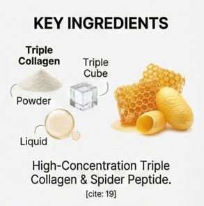 TOPCLASS Lifting 7th Collection Duo Set