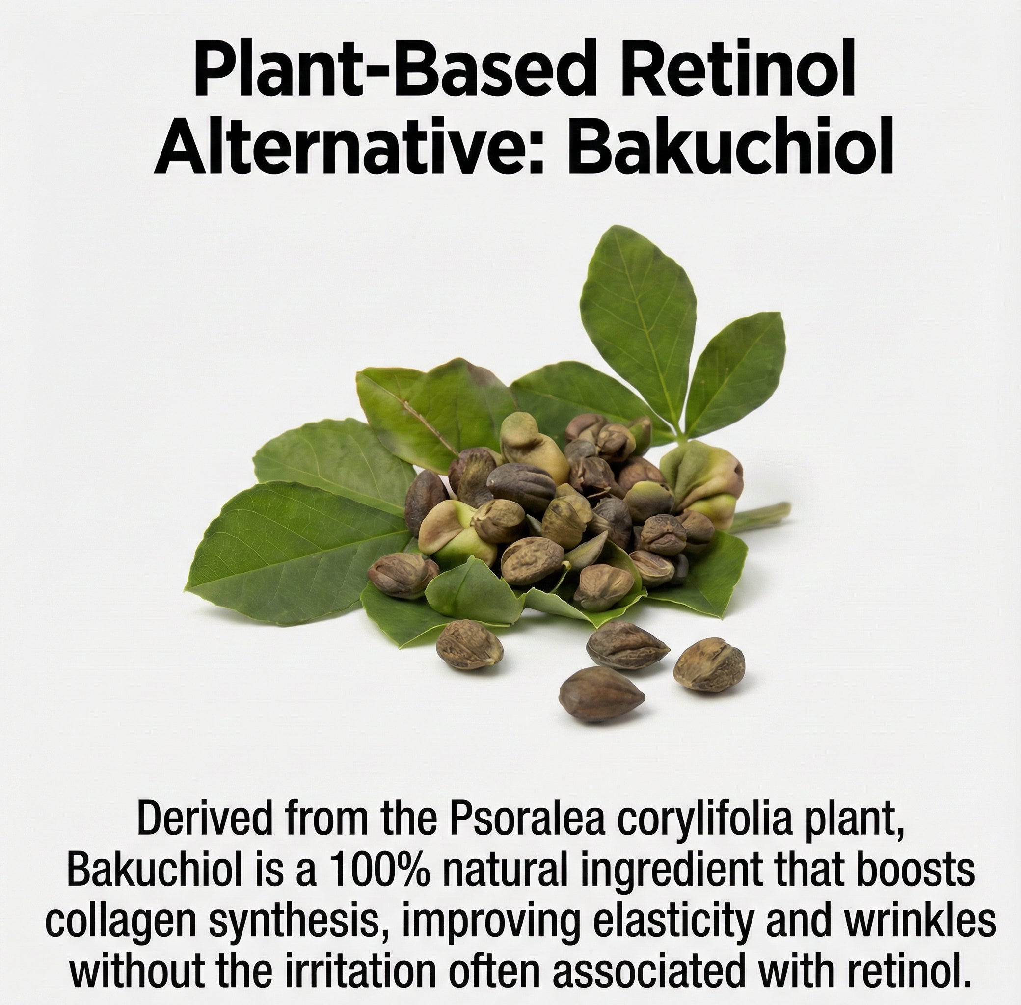 Bakuchiol Water Wrap Tension Cream – Anti-Aging & Deep Hydration