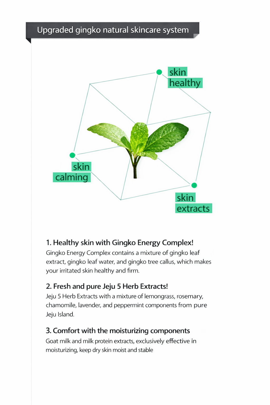 Ginkgo Natural Cleansing Foam