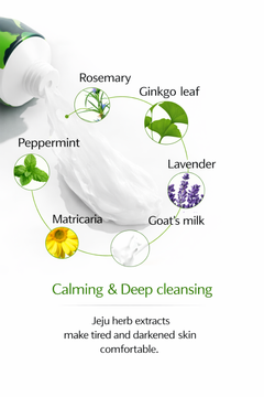 Ginkgo Natural Cleansing Foam 180ml