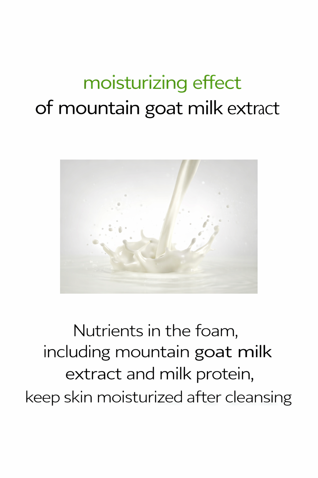 Ginkgo Natural Cleansing Foam