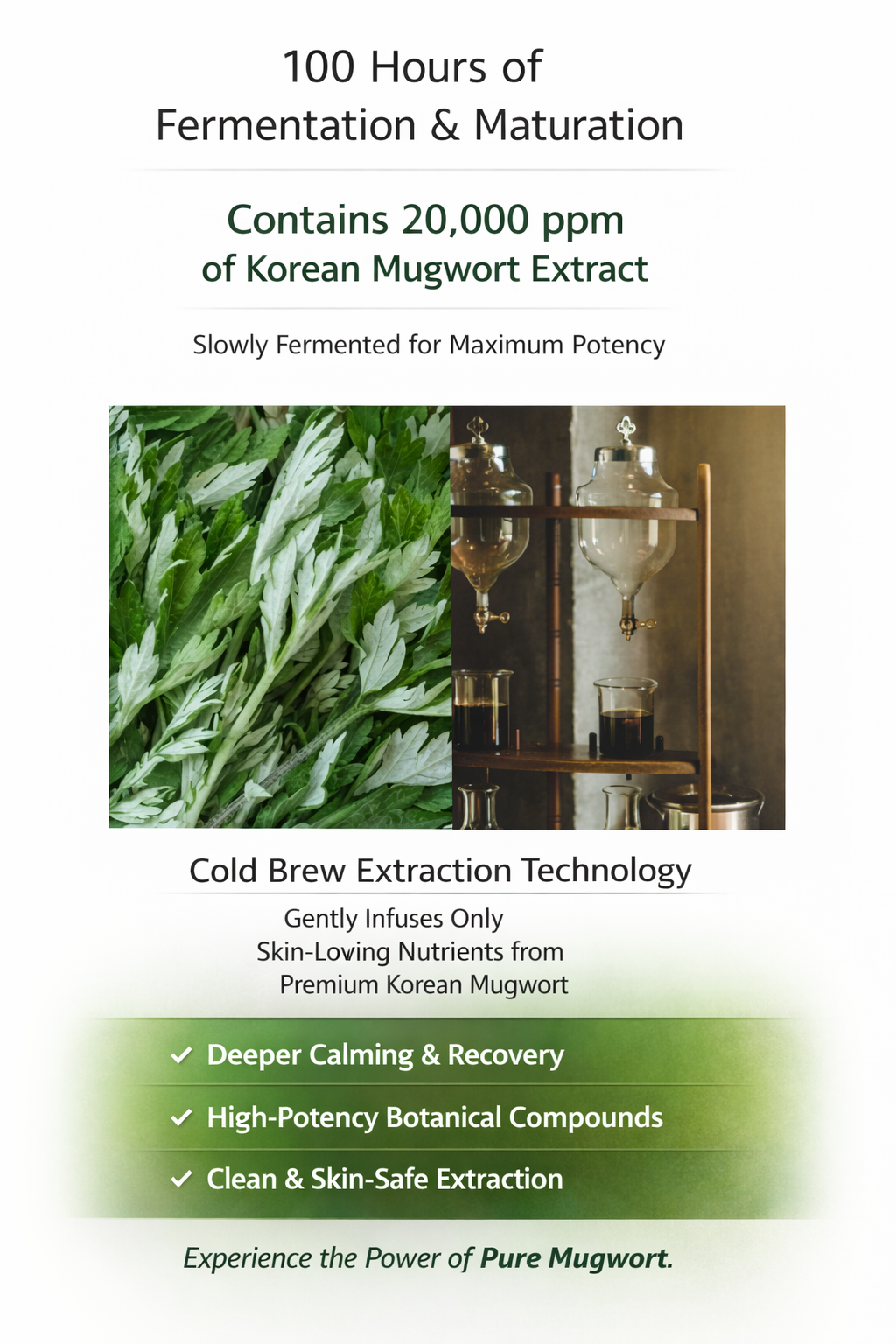 Mugwort Calming & Repair Skincare Set