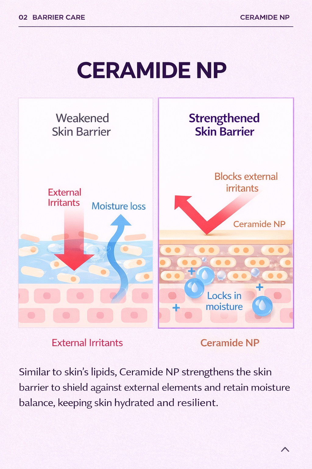 Topclass Advanced Lifting Power Cream